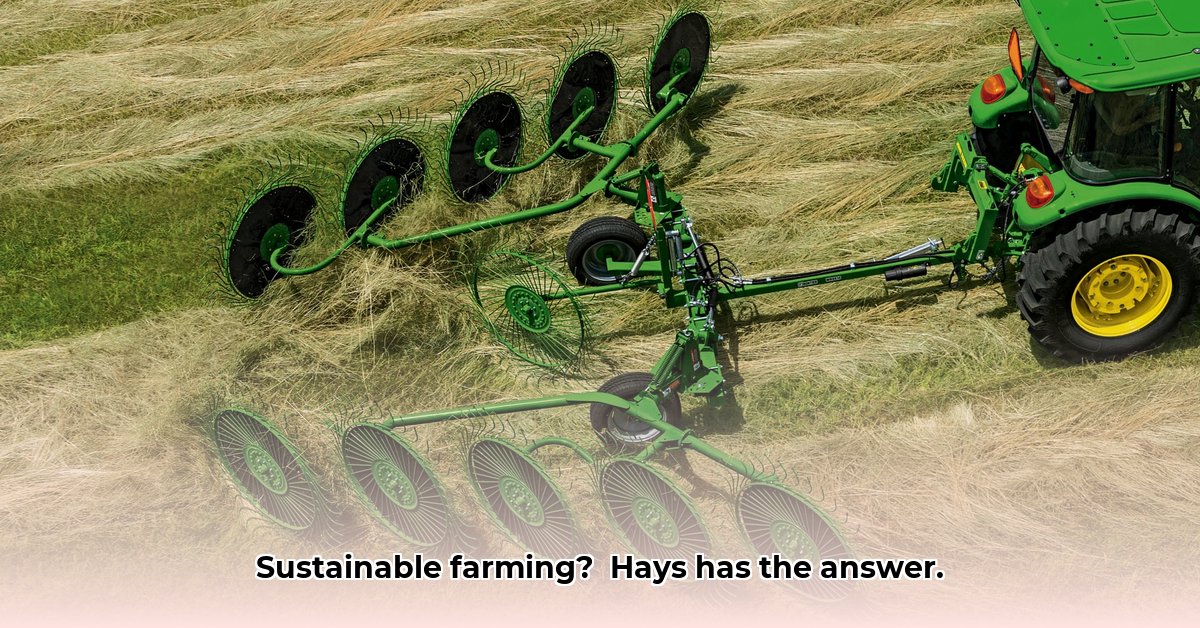 hays-tractor-equipment